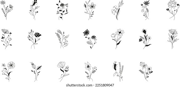 Meadow flowers and twigs, tree branches, summer grass herbs, vector set. Hand drawn doodle flowers, herbs, twigs botany collection. Dogwood, willow, clover, berries, olive branch, grass plants