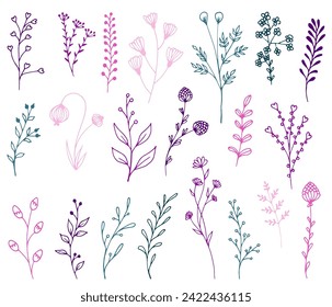 Meadow flowers and twigs, tree branches, summer grass herbs, vector set. Hand drawn doodle flowers, herbs, twigs botany collection. Dogwood, willow, clover, berries, olive branch, grass plants, fern.