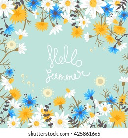 Meadow flowers. vector floral background with chamomile, cornflowers, dandelions and field herbs. Hello summer