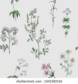 Meadow flowers vector seamless pattern