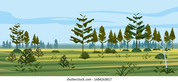 Meadow and forest landscape nature, spruce pine trees, grass and bushes. Panorama scenery. Vector illustration banner poster template trendy style