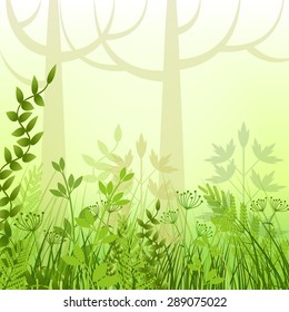 Meadow in forest, vector