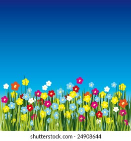 Meadow with forget-me-nots and meadow colors