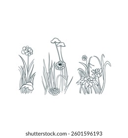 meadow glade grass flower vector design element isolated hand drawn art line