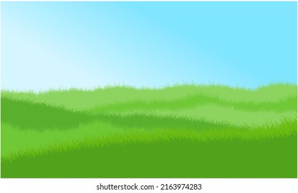 meadow, grass field with summer sky background