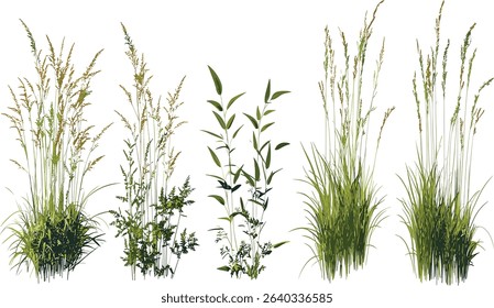 meadow grass field, vector cutout, green grass shape, nature field, outdoor landscape, summer meadow, wild grass, spring field, fresh nature
