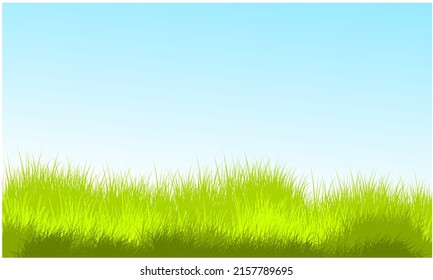 paisaje de hierba de pradera para el fondo o la pancarta