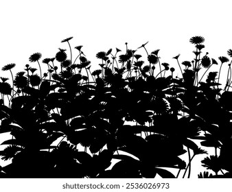 Meadow Grass Nature Silhouette Background Vector. Grass with herbs and wild flowers. Vector isolated silhouette of floral meadow. Horizontal border.