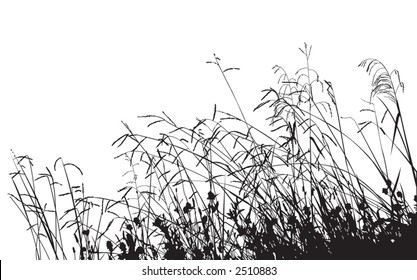 Meadow Grass Silhouette, change the color as you like