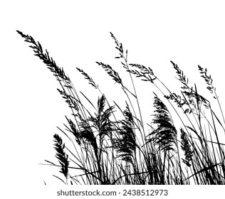 Meadow Grass silhouette. hand drawing. Not AI, Vector illustration.