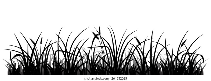 Meadow-grass Images, Stock Photos & Vectors | Shutterstock