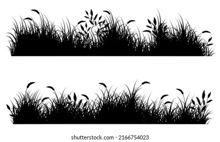 meadow grass silhouette, wild grass vector