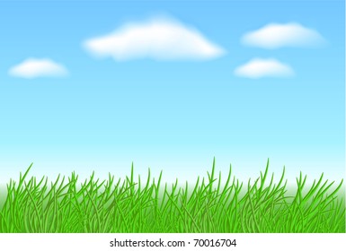 Meadow grass, sky, clouds and space for text