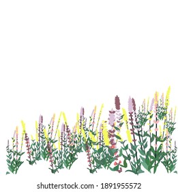 Meadow grass vector stock illustration. Wildflowers border for spring greeting card. Space for text. Alpine flora. Isolated on a white background.