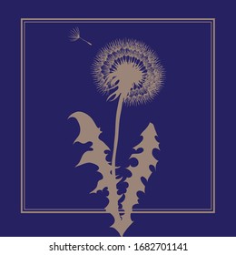 hierba pradera. El diente de león blanco y mullido. Imagen plana vectorial. Decorará cualquier interior. Uso en materiales de impresión.