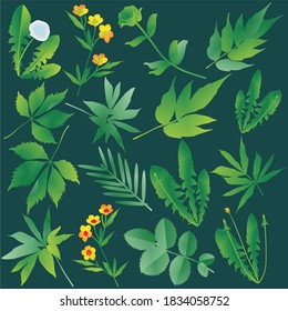 praderas de fondo verde 