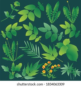 praderas de fondo verde 