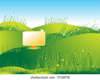 Meadow green, summer, grass and butterflies