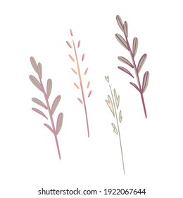 Meadow herbs field plants vector. Wild grass spikelet flowers clip art isolated on white background. Abstract greenery floral foliage pennycress, lavender, rosemary simple style illustration.