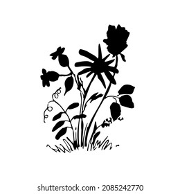 Meadow herbs.  Vector illustration. Black silhouette.