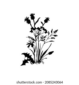 Wiesenkräuter.  Vektorgrafik. Schwarze Silhouette.