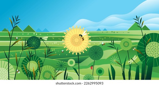 Meadow hills Nature landscape green grass Rural beautiful summer field sunflower and grass in front blue sky