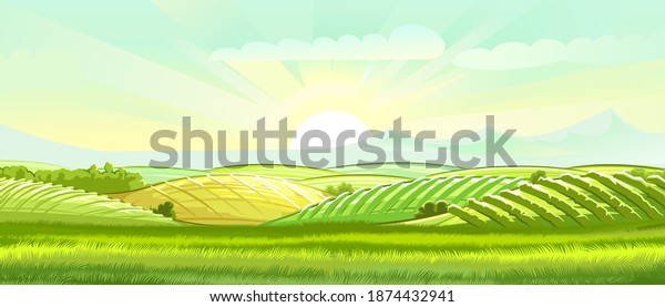 Meadow hills with vegetable gardens and fields.\
Rangelands and pastures. Rural landscape. Out-of-town scenery with\
plots of land for agricultural processing. Farmland and farm\
location. Vector