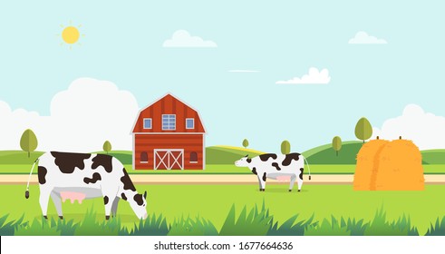 Meadow landscape with farm and cow eating grass vector illustration.Farm with cows and hays.Landscape with farm.Nature farm in summer