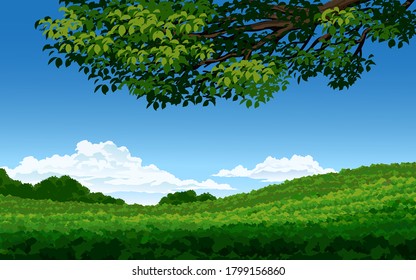 Meadow landscape with tree branches. Summer landscape