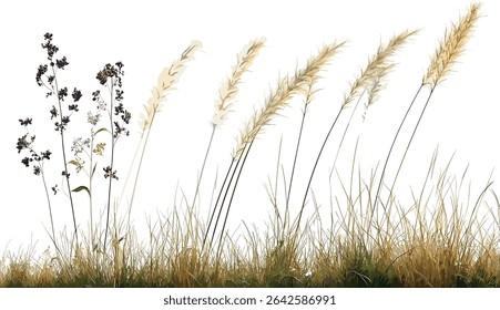Meadow nature vector, transparent background, close up grass, flower shapes, natural elements, wildflower illustration, grass field design, blooming flowers, nature art