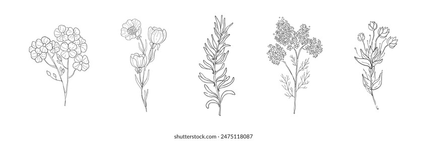 Meadow Plant and Flower on Stem Linear Vector Set