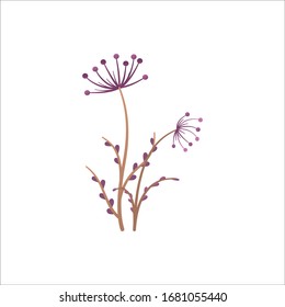 Meadow plant isolated on white background. Wild field plant with leaves, stem and flowers. Simple floral element template in gradient color style. Cartoon symbol,logo or icon. Flat vector illustration