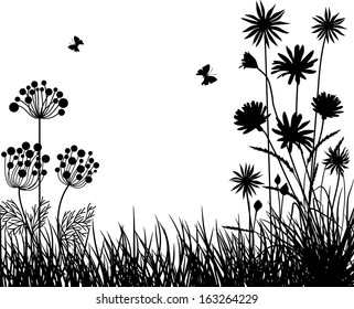 Meadow plants
