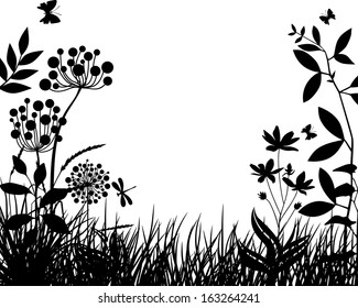 Meadow plants