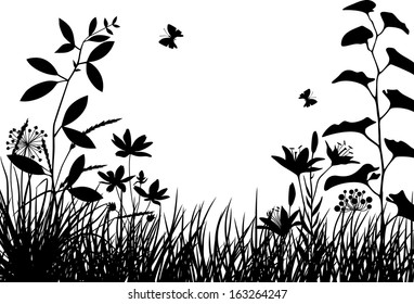 Meadow plants