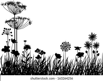 Meadow plants