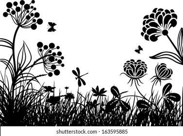 Meadow plants and flowers