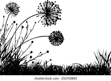 Meadow plants silhouettes