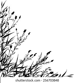 Meadow plants silhouettes