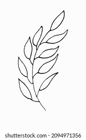 Plantas praderas. Un boceto simple. Ilustración de línea de vector	