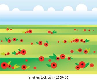 pradera con amapolas