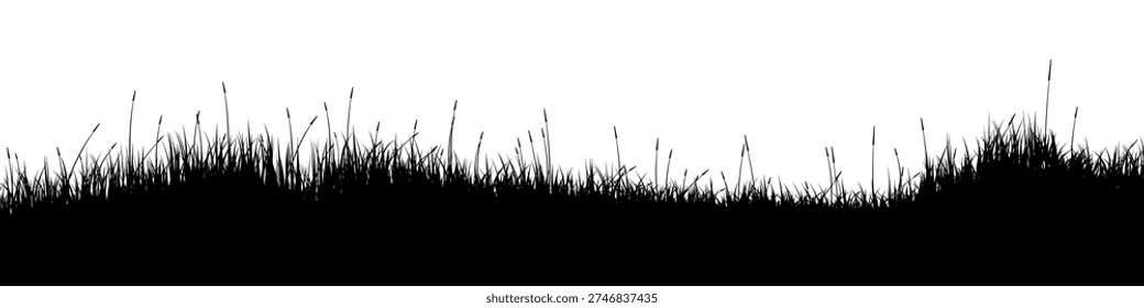 Meadow silhouette with grass, plants on plain. Panoramic summer lawn landscape with herbs, various weeds. Herbal border, frame element. Black horizontal banners. Vector illustration