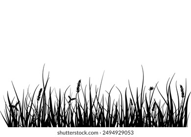 meadow silhouette with long grass