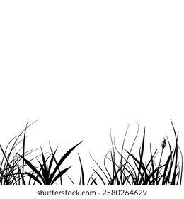 meadow silhouette with reeds and grass diversity