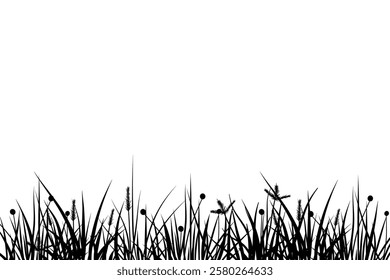 meadow silhouette with reeds and grass diversity