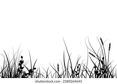 meadow silhouette with reeds and grass diversity