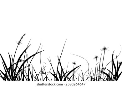 meadow silhouette with reeds and grass diversity