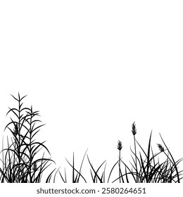 meadow silhouette with reeds and grass diversity