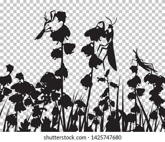 Meadow silhouette with transparency grid on back. Vector Illustration.