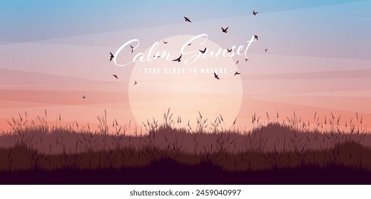 Meadow silhouettes with grass. Countryside, panoramic summer lawn rural landscape with herbs, weeds. Agriculture and farming. Summer sunset in nature, wildlife. Vector illustration